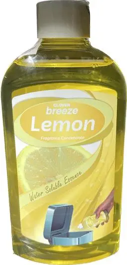 BREEZE Luchtverfrisser Citroen 300 ml