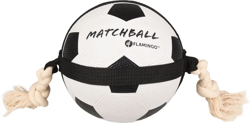 HS MATCHBALL VOETBAL 19CM