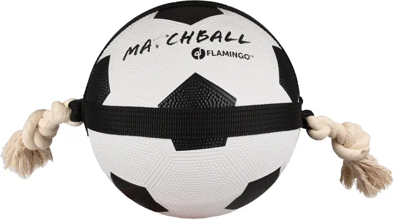 HS MATCHBALL VOETBAL 22CM